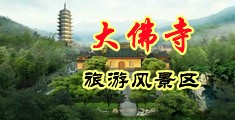 日屄.com中国浙江-新昌大佛寺旅游风景区